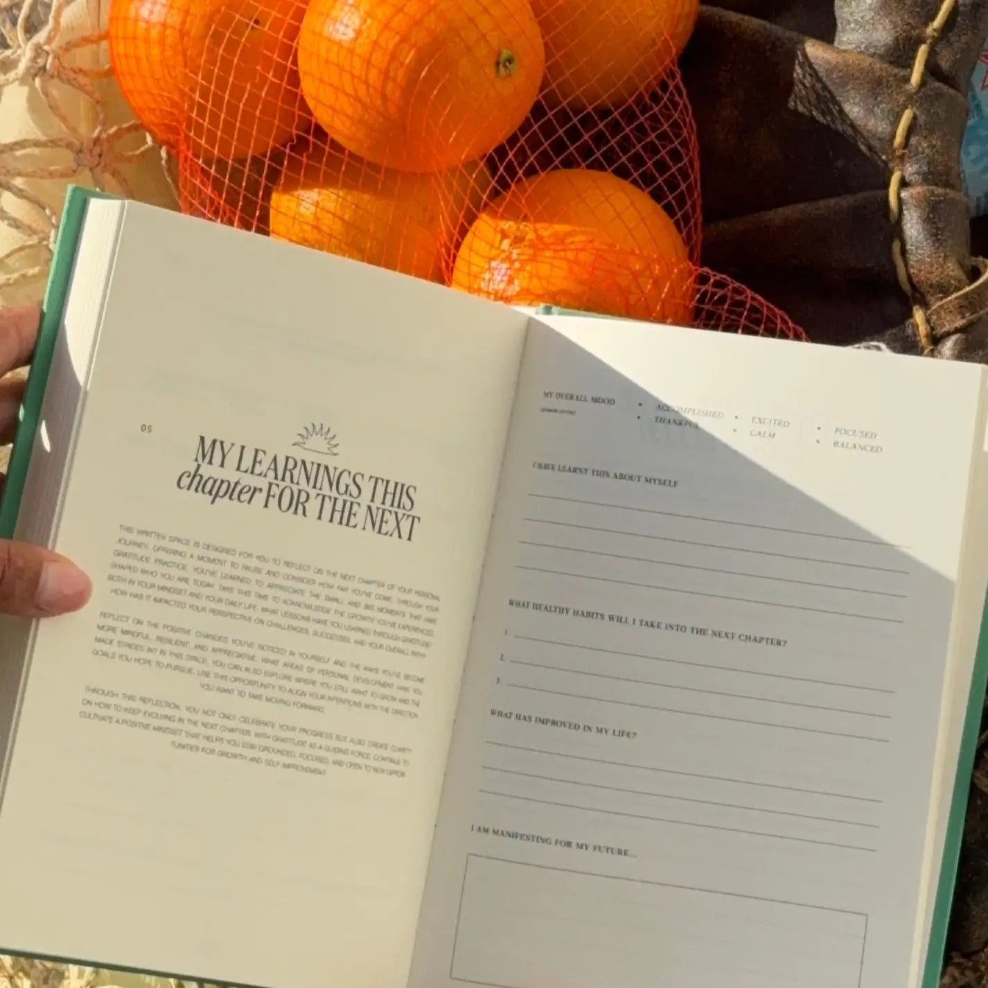 Matcha Green Gratitude Journal